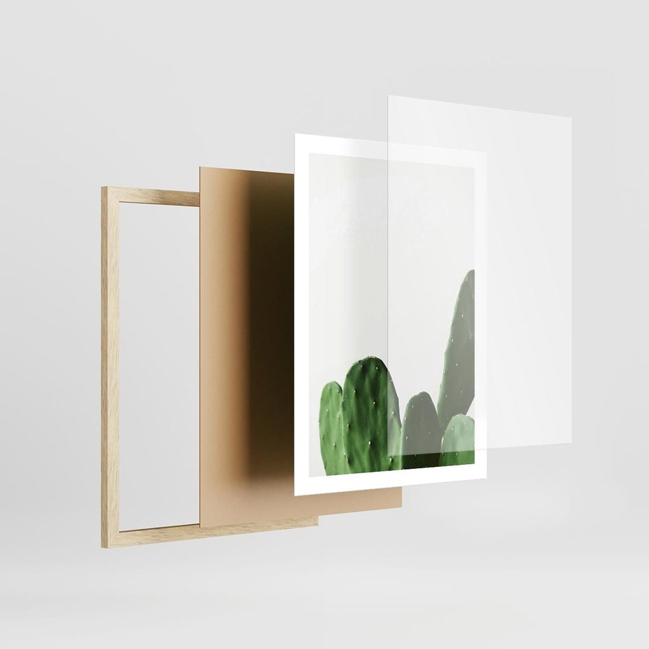Plakat w ramie 50x70 - Minimalizm Natury - kaktus, zbliżenie - rama drewno
