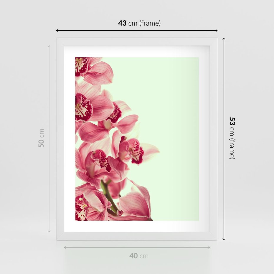 Plakat w ramie 40x50 - Orchidea - delikatne kwiaty - orchidea, kwiaty - rama biała