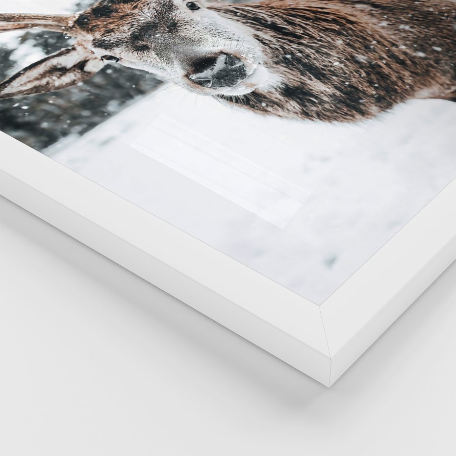 Zestaw obrazy w ramie 30x40 galeria - Jeleń, bizon, zima, retro - rama biała