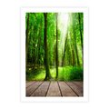 Plakat bez ramy 30x40 - Spacer po urokliwej dróżce w lesie - las, dróżka