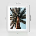 Plakat w ramie 40x50 - Rajskie Inspiracje: Palma na Niebie - palma, na tle nieba - rama biała