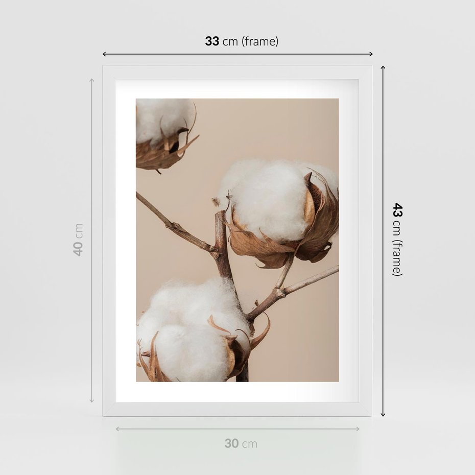 Plakat w ramie 30x40 - Bawełniana melancholia - bawełna, suche - rama biała