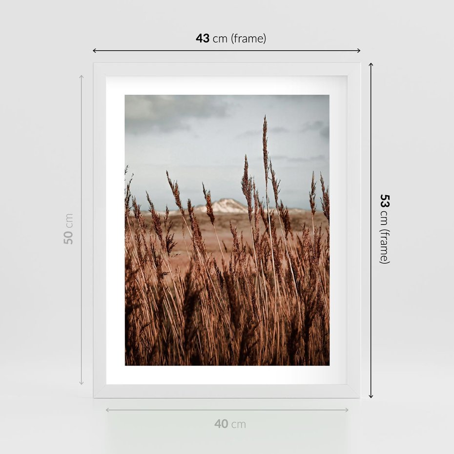 Plakat w ramie 40x50 - Wysokie Trawy w Górskim Krajobrazie - suche trawy, wysokie trawy - rama biała