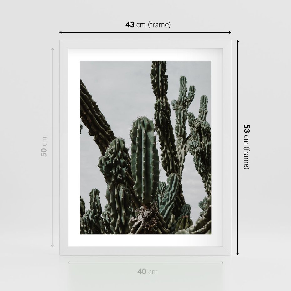 Plakat w ramie 40x50 - Boho oaza wśród kaktusów - kaktusy, pustynia - rama biała