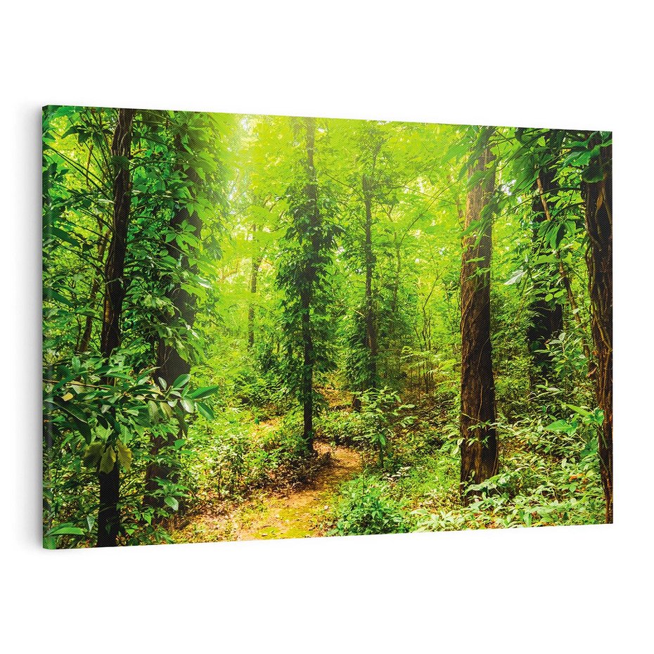 Obraz na płótnie 100x70 - Współistnienie z naturą - drzewa, las