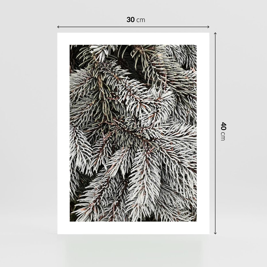 Plakat bez ramy 30x40 - Cisza Zimowej Natury - zima, iglaste gałązki