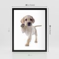 Plakat w ramie 40x50 - Szczeniak pełen radości - piesek, szczeniak - rama czarna