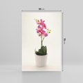 Obraz na płótnie 50x70 - Delikatność storczyka orchidei - storczyk, orchidea