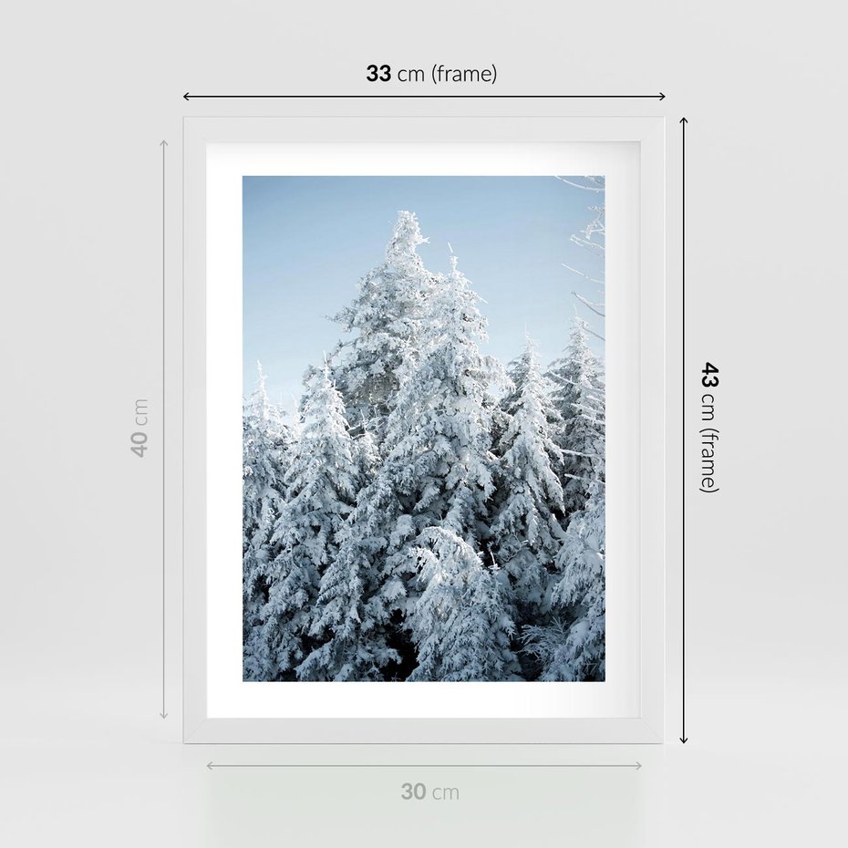 Plakat w ramie 30x40 - Magia Śnieżnych Drzew - zima, iglaste drzewa - rama biała