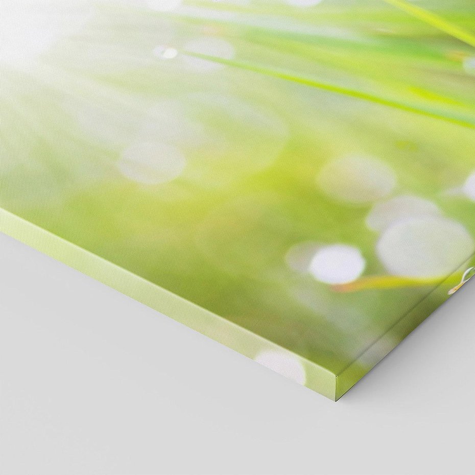 Obraz na płótnie 140x70 - Delikatna trawa pokryta rosą - trawa, rosa