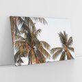 Obraz na płótnie 70x50 - Palmy - tęsknota za Hawajami - palmy, Hawaje
