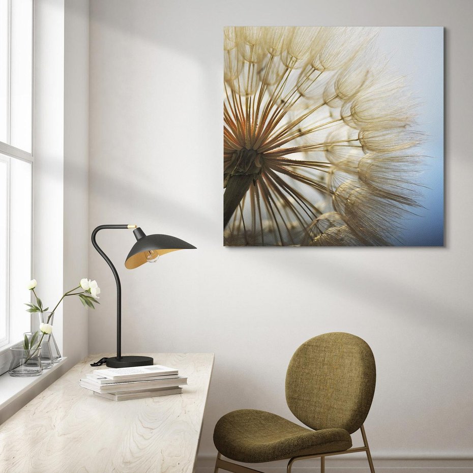 Obraz na płótnie 40x40 - Delikatny dmuchawiec w pełnym rozkwicie - dmuchawiec, kwiat