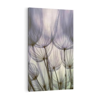 Obraz na płótnie 80x120 - Makro dmuchawiec - piękno drobnych detali - dmuchawce, makro