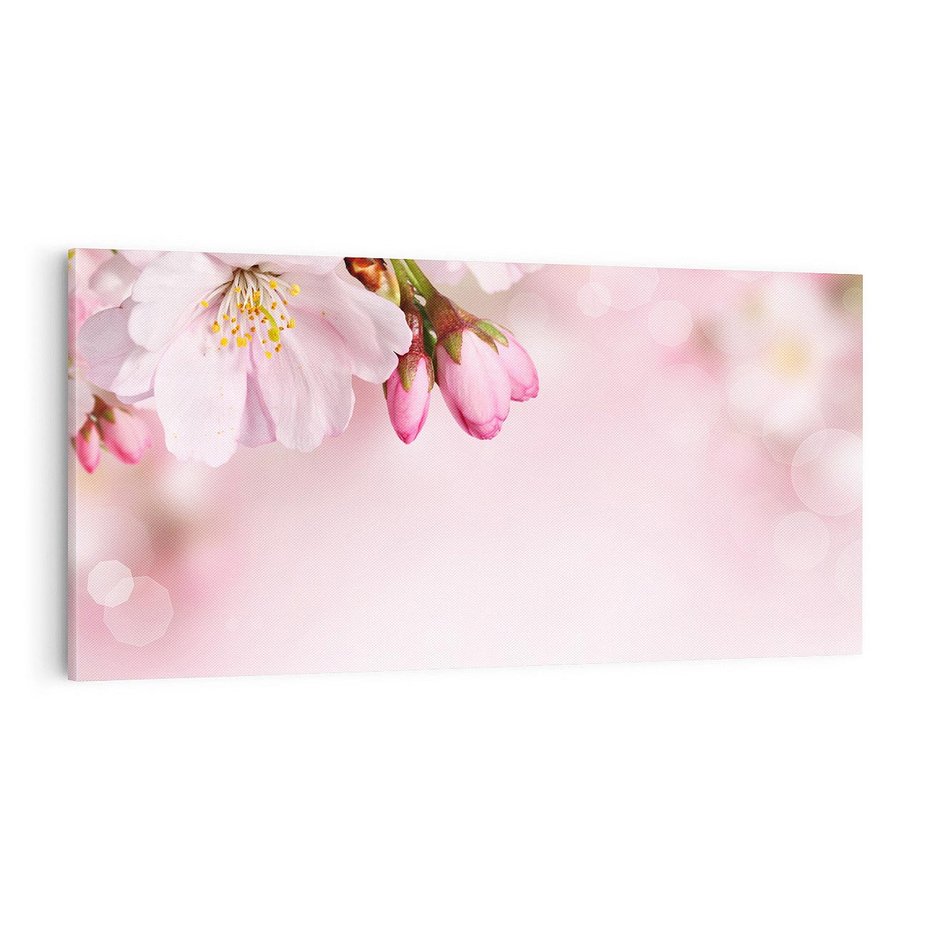 Obraz na płótnie 100x50 - Kwitnąca wiśnia: delikatność natury - kwitnąca, wiśnia