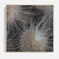 Obraz w ramie 50x50 - Ulotna Piękność Natury - makro, dmuchawce - rama drewno