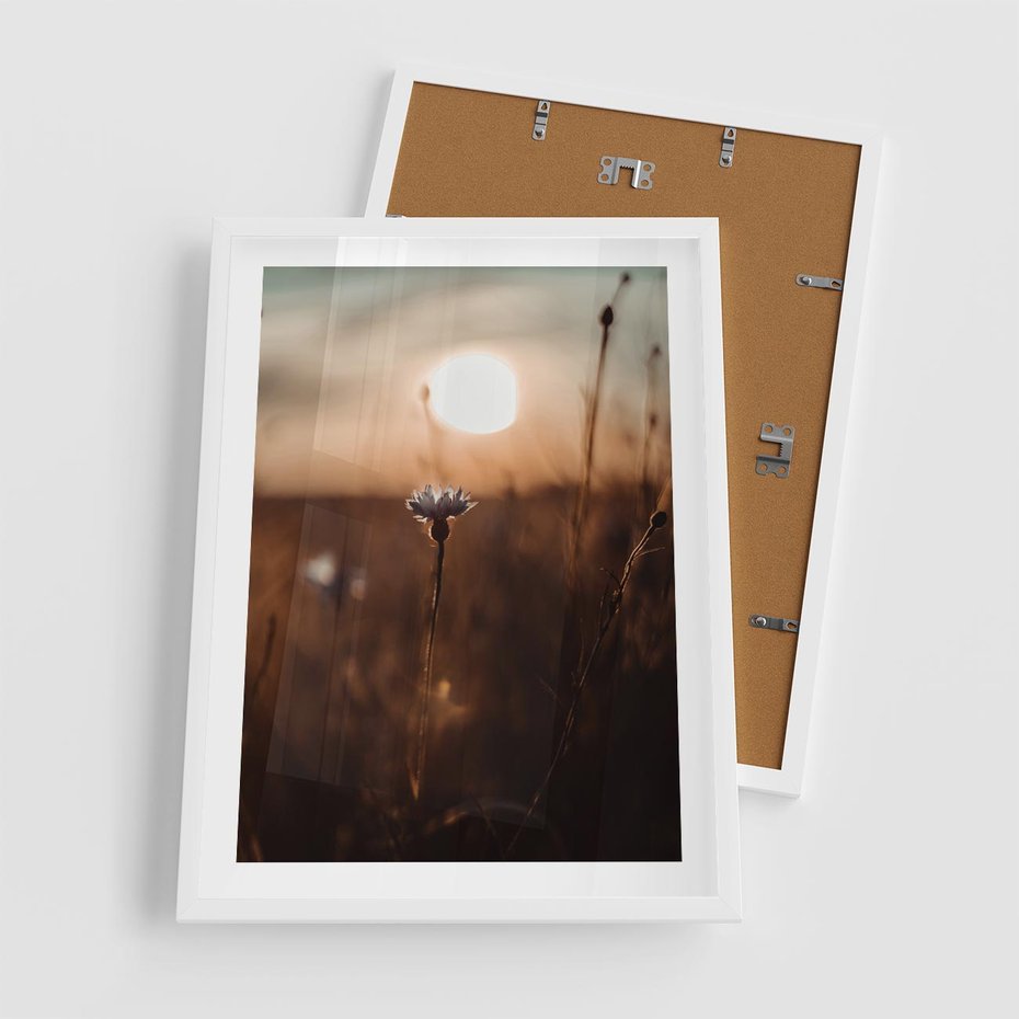 Plakat w ramie 50x70 - Spokój łąki pod zachodem słońca - zachód, słońca - rama biała
