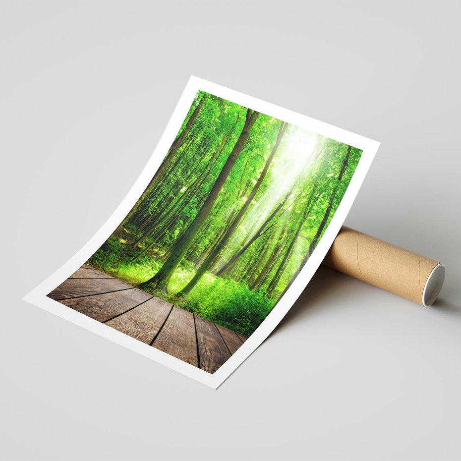 Plakat bez ramy 40x50 - Spacer po urokliwej dróżce w lesie - las, dróżka