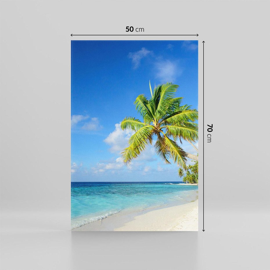 Obraz na płótnie 50x70 - Rajskie Malediwy: Plaża pod palmami - Malediwy, plaża