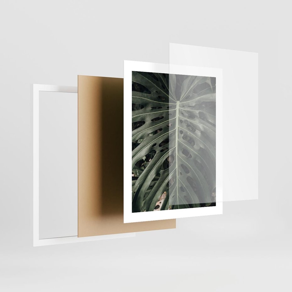 Plakat w ramie 40x50 - Majestatyczny Liść Monstery - liść monstery, majestatyczny liść - rama biała