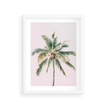 Plakat w ramie 50x70 - Błogość Tropików - palma, tropiki - rama biała