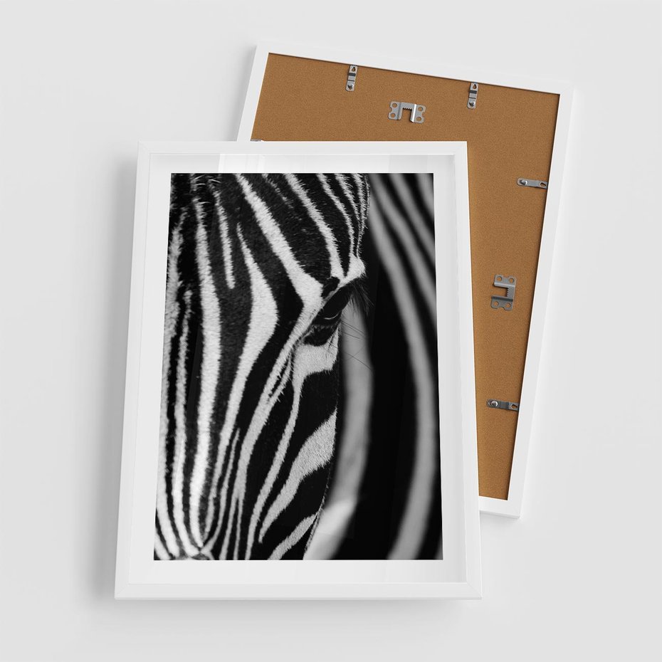 Plakat w ramie 50x70 - Pasy Zebr - zebra, paski - rama biała