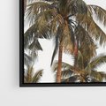 Obraz w ramie 50x50 - Palmy - tęsknota za Hawajami - palmy, Hawaje - rama czarna