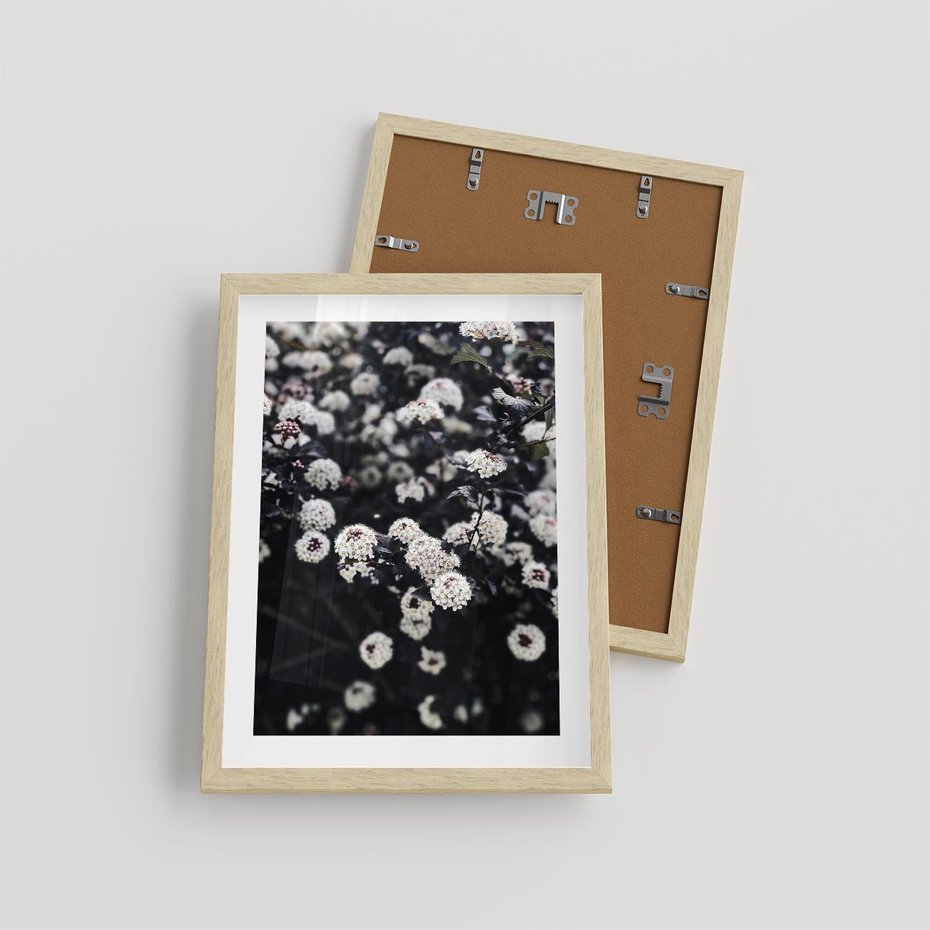 Plakat w ramie 30x40 - Białe Kwiaty na Kwitnącym Krzewie - białe kwiaty, kwitnący krzew - rama drewno