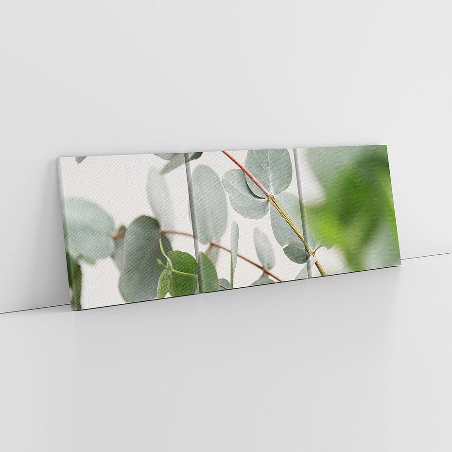 Obraz na płótnie 150x50 - Liście eukaliptusa w naturze - eukaliptus, liście