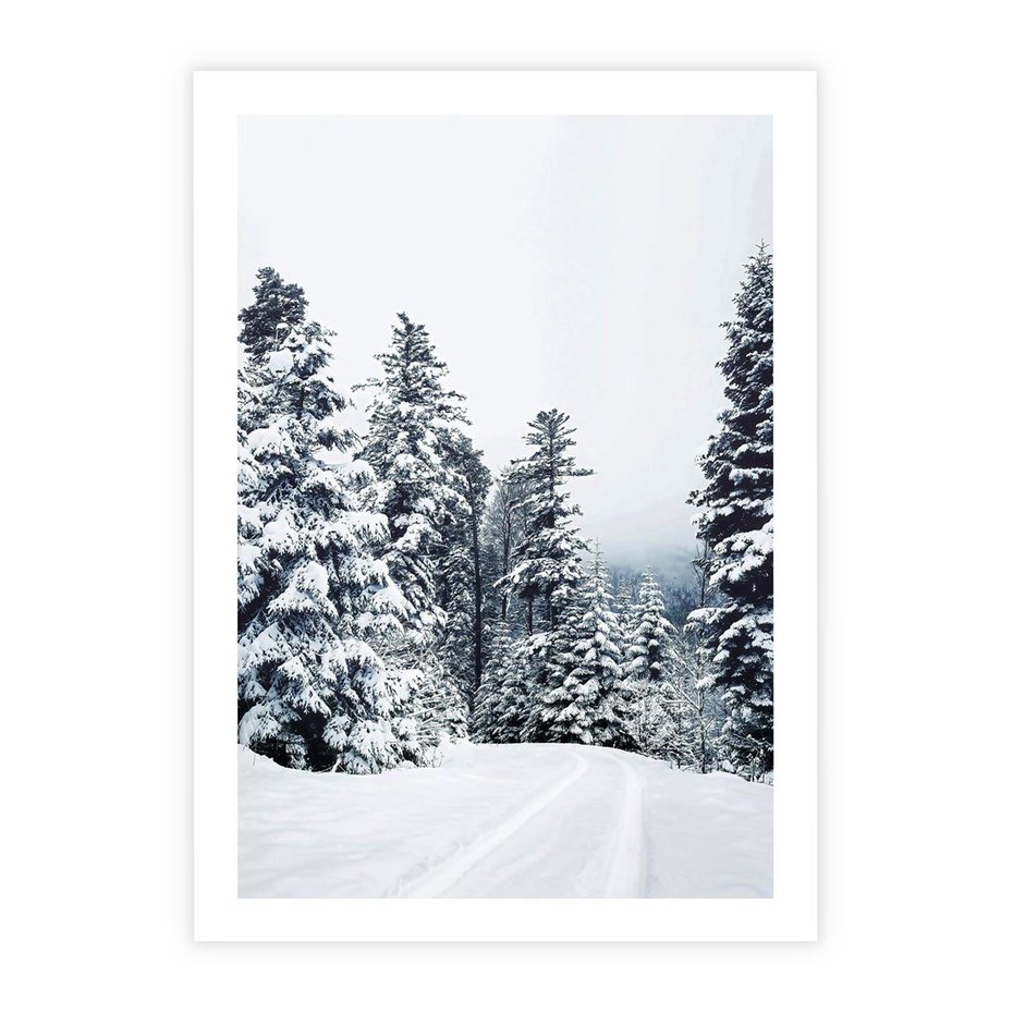 Plakat bez ramy 21x30 - Zimowy Las Pod Kołdrą - las, zima