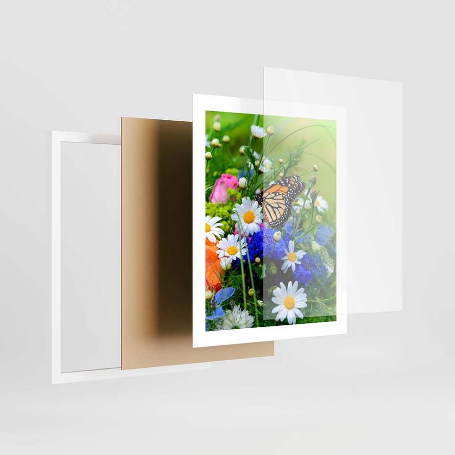 Plakat w ramie 40x50 - Kwiatowy Taniec - motyl, kwiaty - rama biała