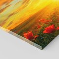 Obraz na płótnie 120x80 - Magia zachodu słońca na łące z makami - łąka, zachód słońca