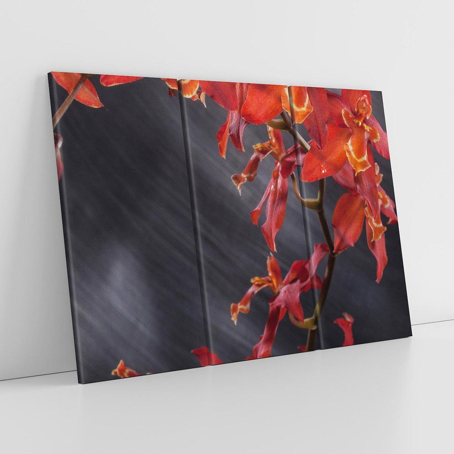 Obraz na płótnie 120x80 - Kolorowy Raj - kwiaty, tropikalne