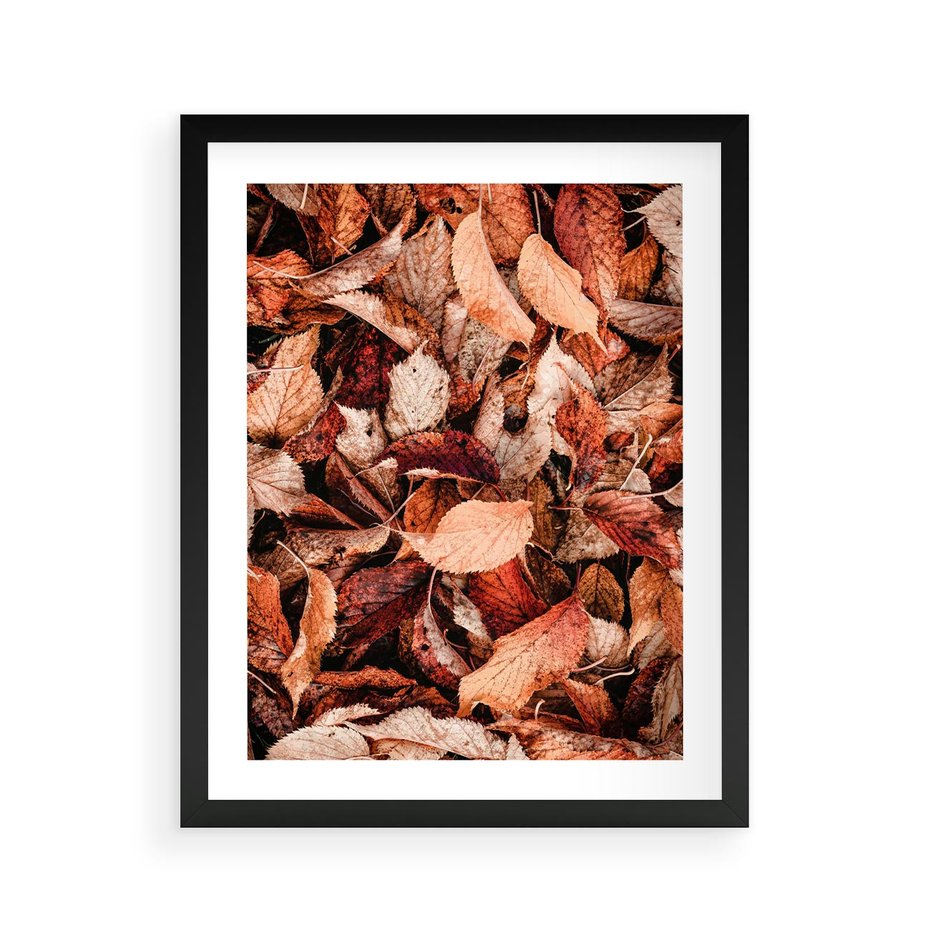 Plakat w ramie 40x50 - Magia Jesiennej Ziemi - liście, jesień - rama czarna