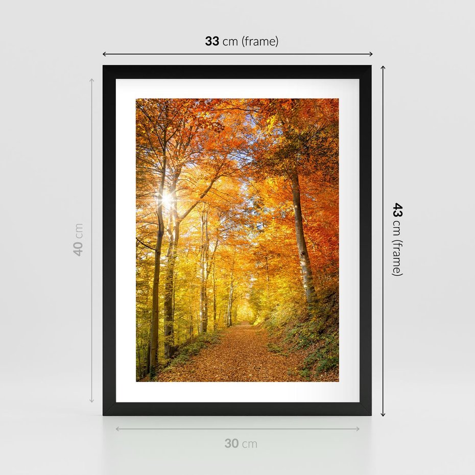 Plakat w ramie 30x40 - Złote barwy jesiennego lasu - las, jesień - rama czarna