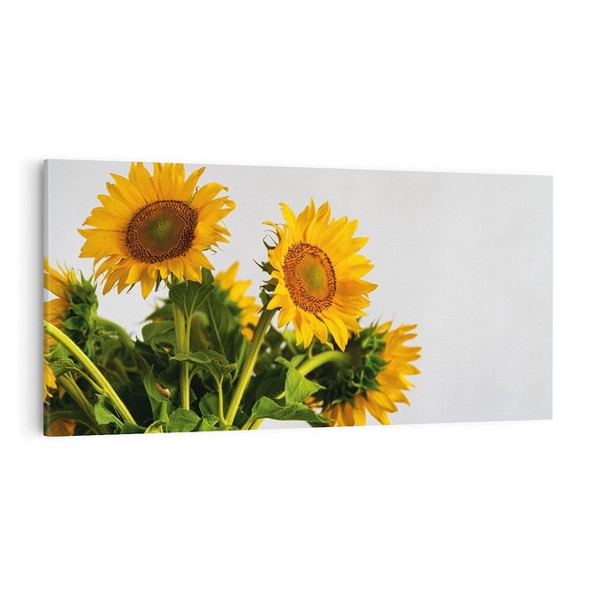 Obraz na płótnie 100x50 - Słoneczna Radość - fotografia, żółte słoneczniki