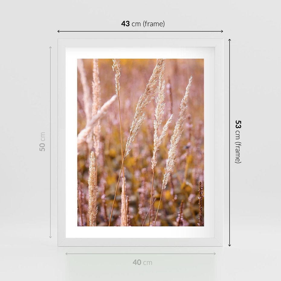 Plakat w ramie 40x50 - Sucha Trawa w Sierpniu - trawy, łąka - rama biała