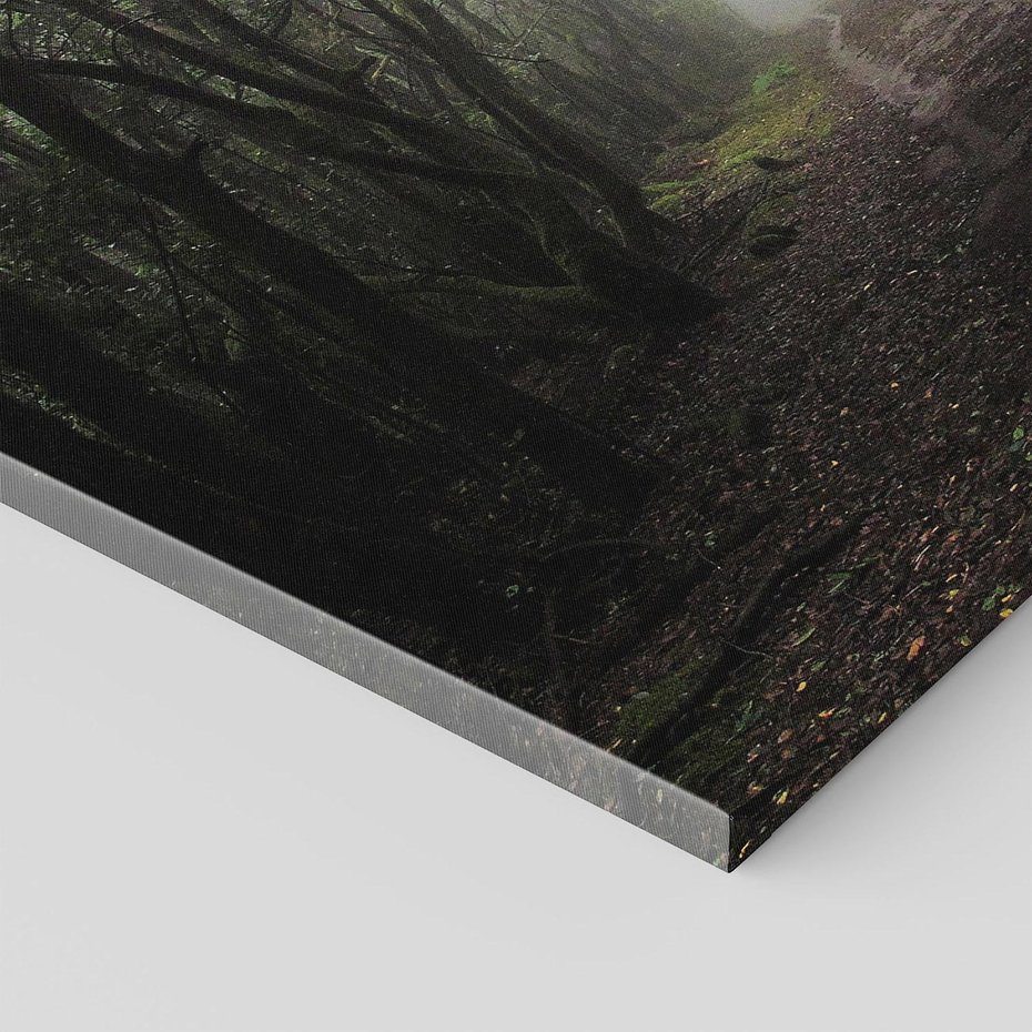 Obraz na płótnie 120x80 - Urok Drogi - las, droga