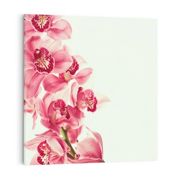 Obraz na płótnie 40x40 - Orchidea - delikatne kwiaty - orchidea, kwiaty