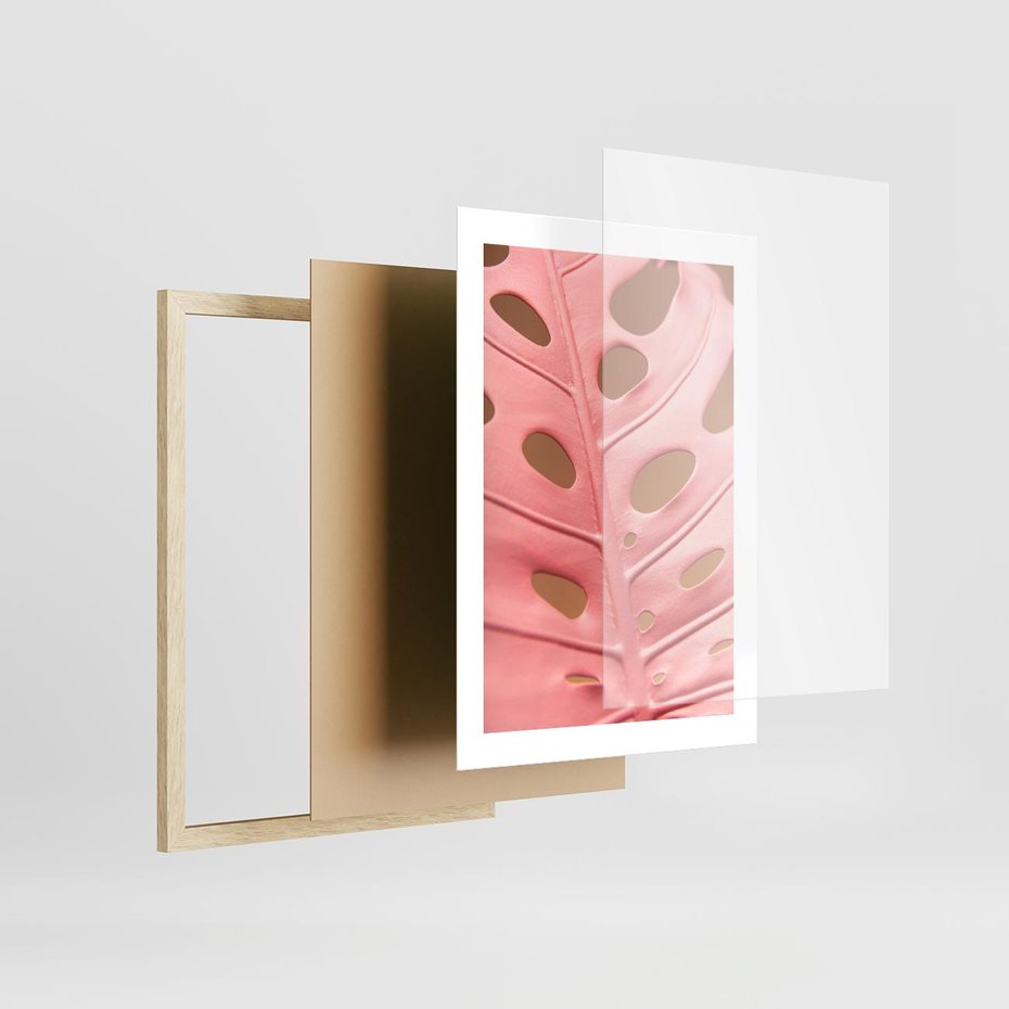 Plakat w ramie 30x40 - Różowa monstera w pełnym rozkwicie - różowa, monstera - rama drewno