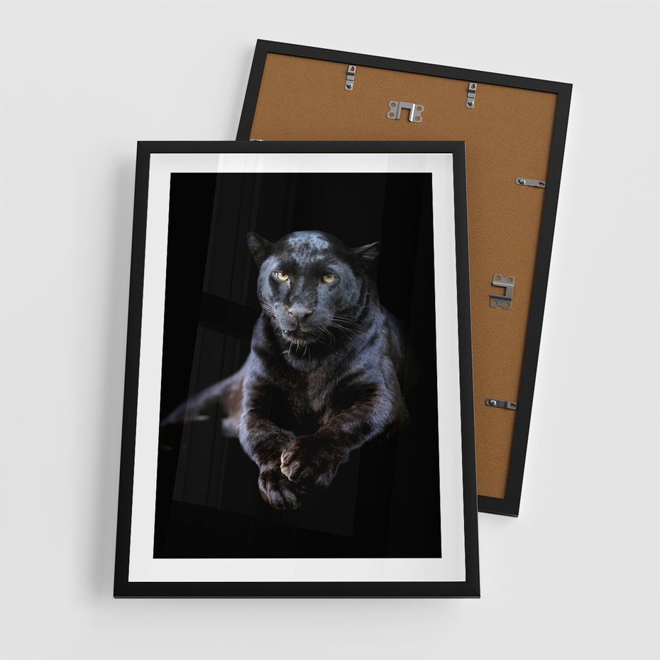 Plakat w ramie 50x70 - Czarna pantera: majestat i siła - czarna, pantera - rama czarna