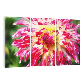 Obraz na płótnie 120x80 - Kwiatowa harmonia - kwiat, kwiaty