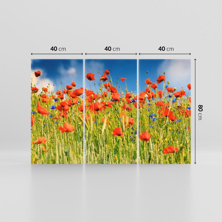 Obraz na płótnie 120x80 - Delikatne maki na kolorowej łące - mak, maki