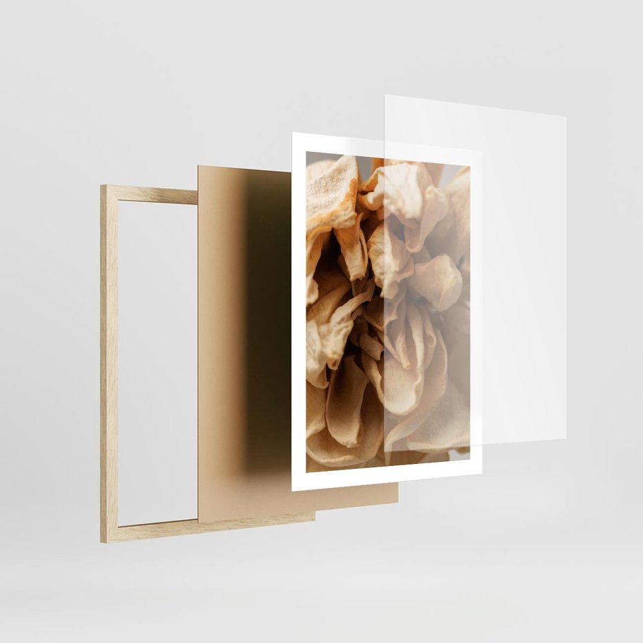Plakat w ramie 50x70 - Zjawiskowe zasuszone kwiaty - zasuszone, kwiaty - rama drewno