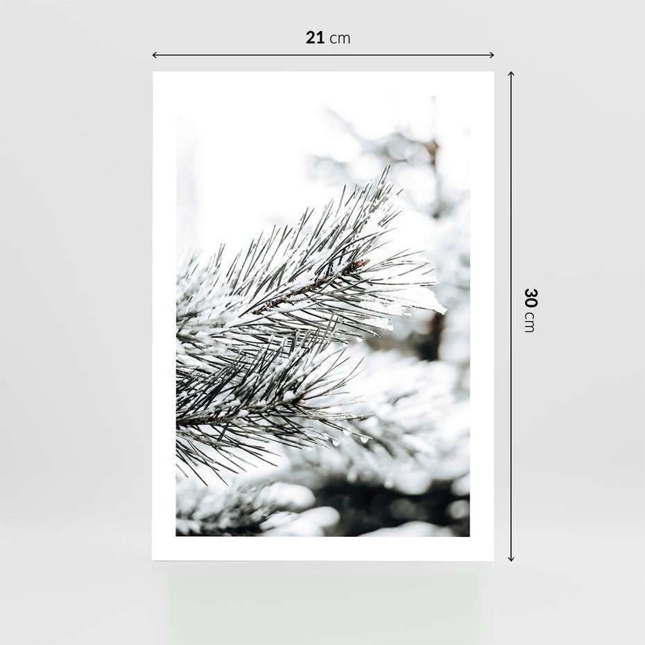 Plakat bez ramy 21x30 - Chwila Zimowej Magii - iglasta gałązka, śnieg