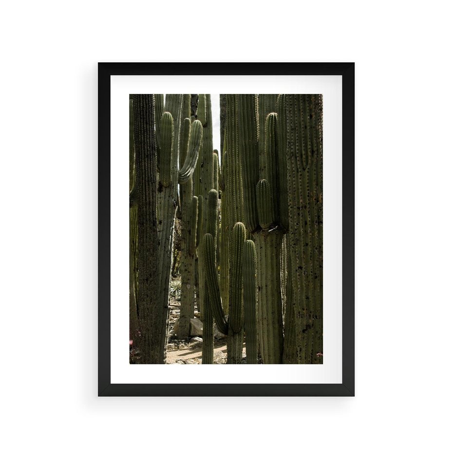 Plakat w ramie 30x40 - Wyjątkowy Klimat Boho - kaktusy, pustynia - rama czarna
