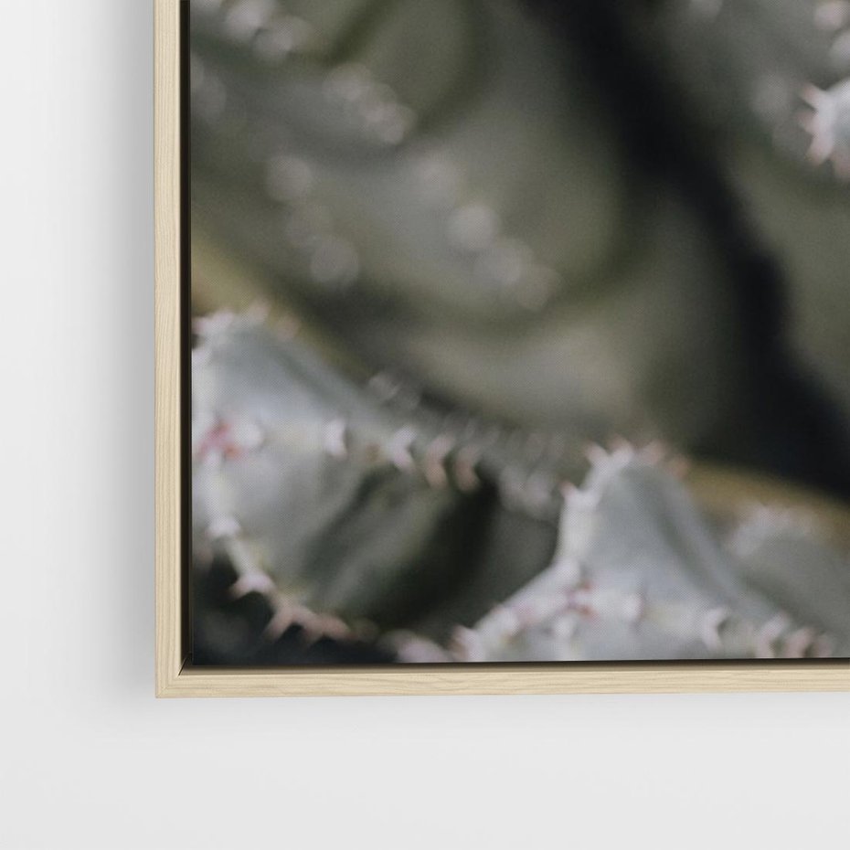 Obraz w ramie 120x80 - Boho kaktusy na pustyni - kaktusy, pustynia - rama drewno