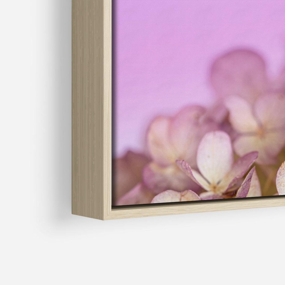 Obraz w ramie 80x80 - Kwiatowa Uroda - kwiaty, hortensje - rama drewno