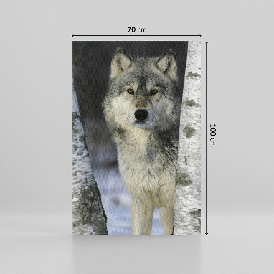 Obraz na płótnie 70x100 - Wilk w Zimowym Lesie - wilk, las