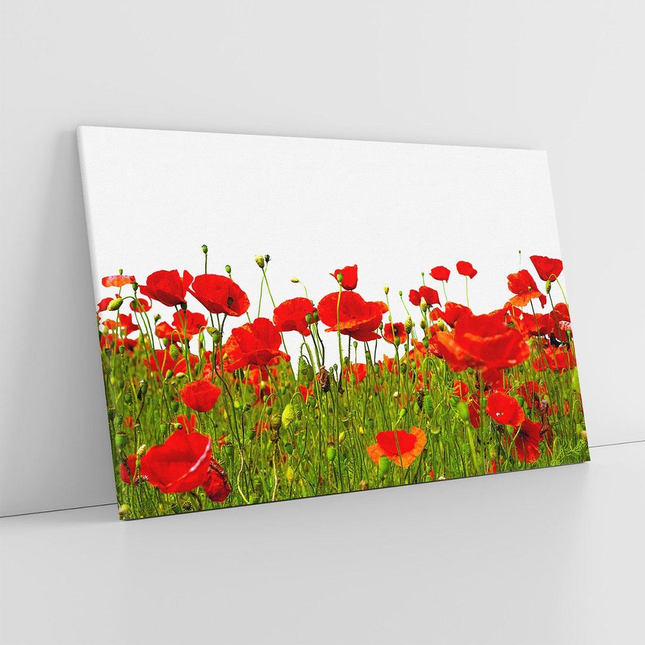 Obraz na płótnie 70x50 - Bujne maki na malowniczej łące - mak, maki