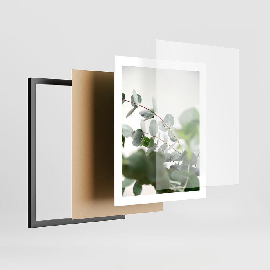 Plakat w ramie 40x50 - Zielony Świat Eukaliptusa - eukaliptus, fotografia - rama czarna